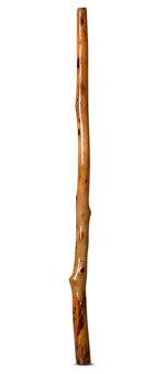 Peter Sherwood Didgeridoo (NV101)